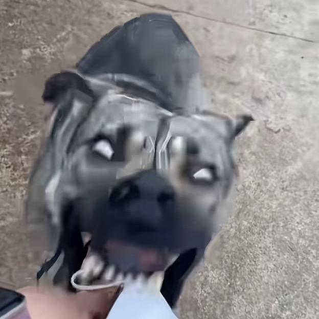 心想士成