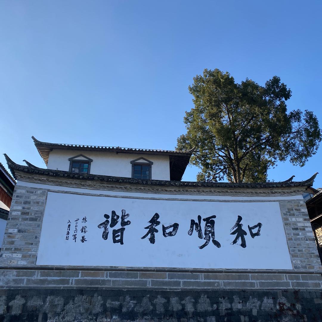 滇西见手青
