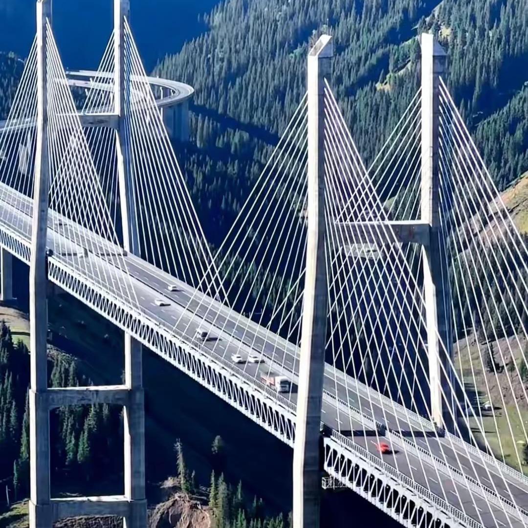 木土草田皆是青