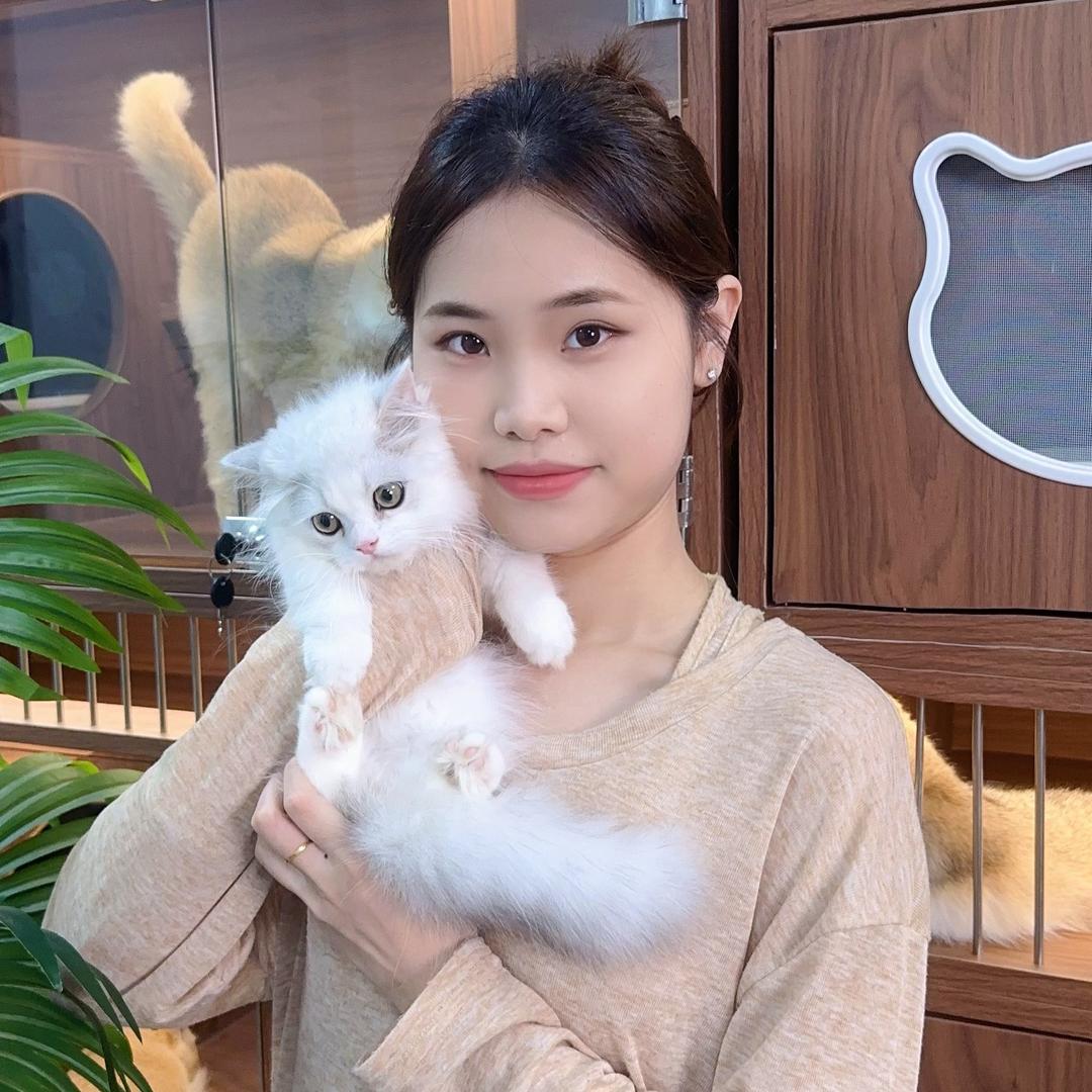 雯雯说猫