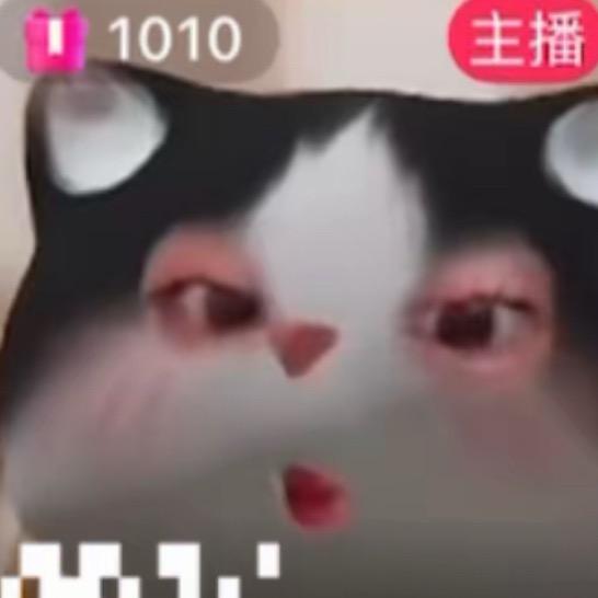 ▞▙▛▖▜▗▝