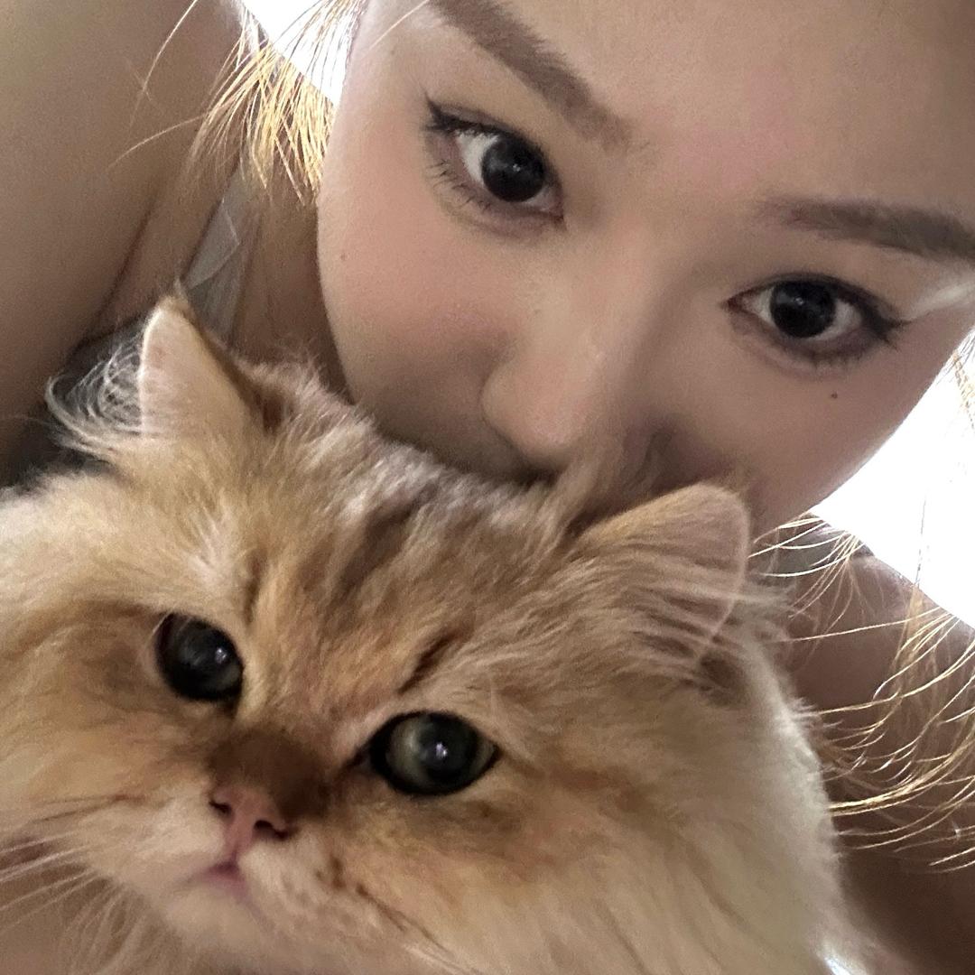 CC女王陛下万岁万万岁