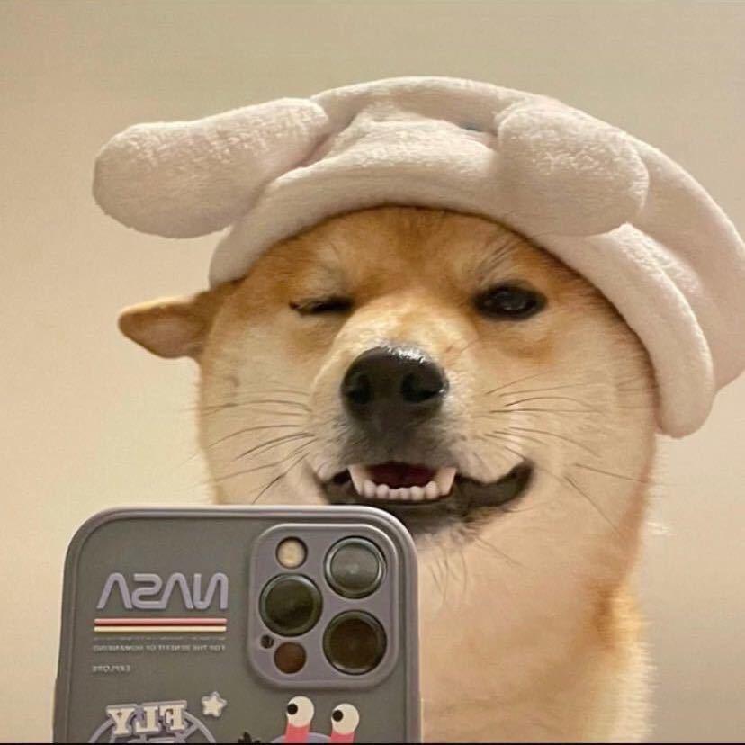 ღIU棒棒糖•︡ ‿ •︠ᐝ