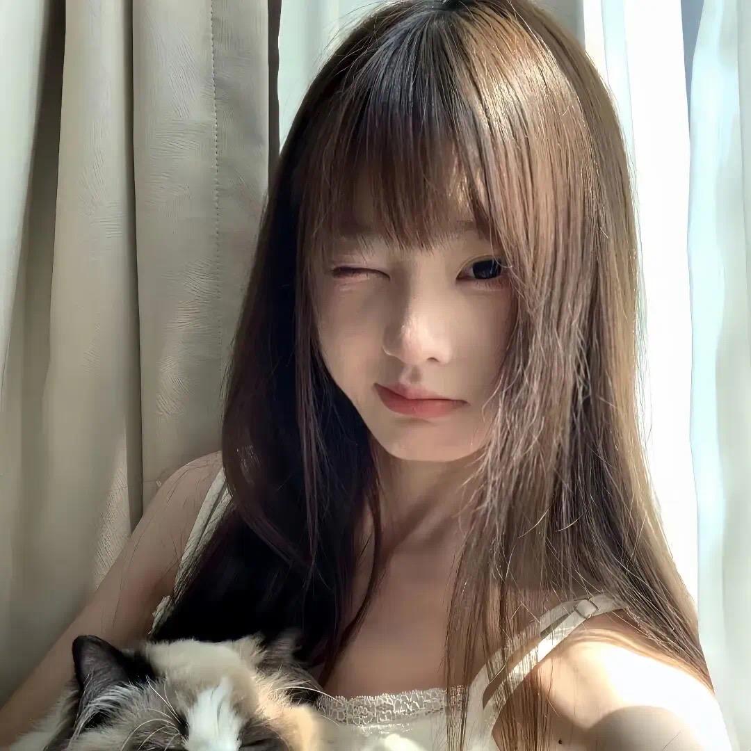 呆头猫