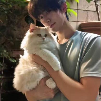 太帅被判无妻徒刑