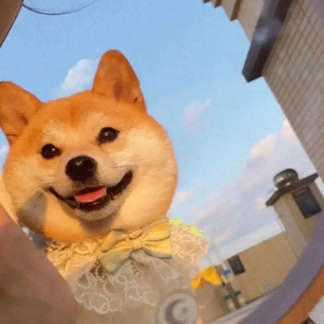 翻过浪浪山（减肥版）