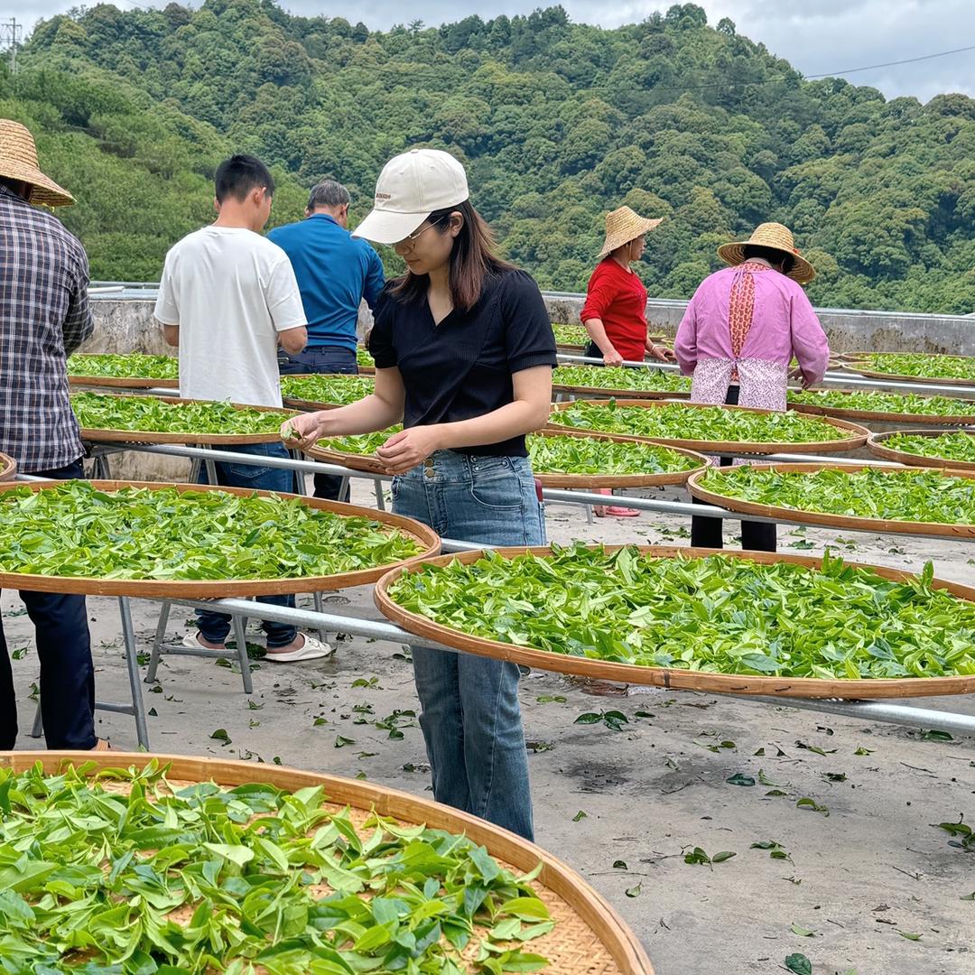 山涧茶舍—凤凰单丛茶