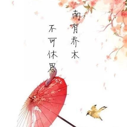 南乔