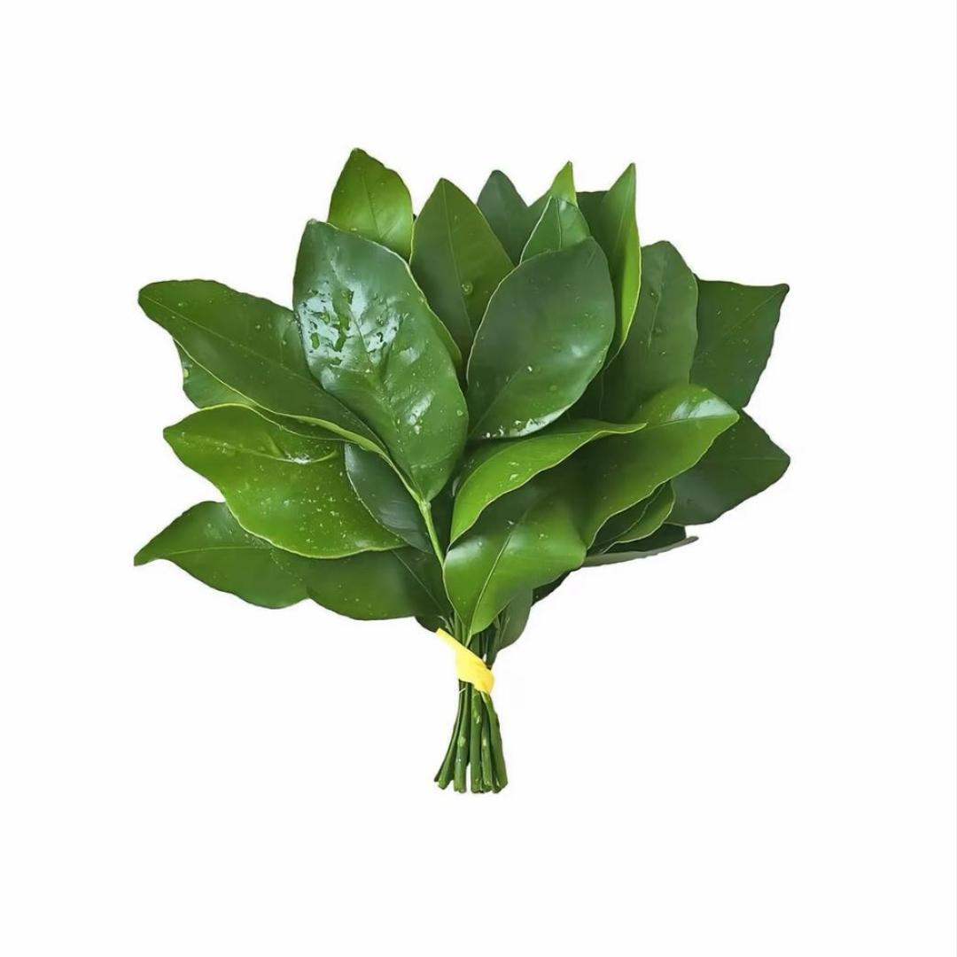 _五月