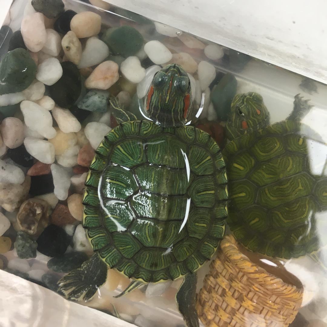 下个周末去哪溜达