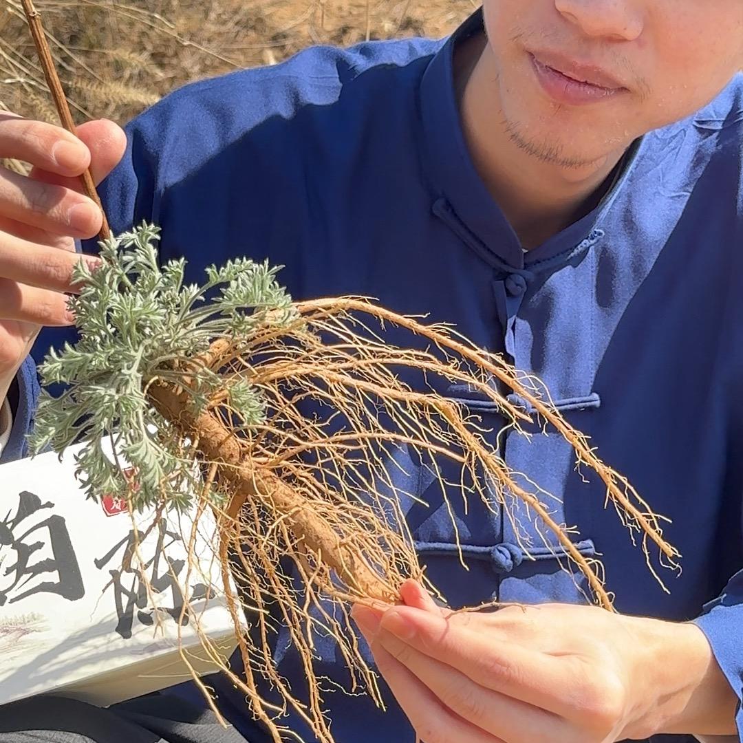 彝道茶精品溯源