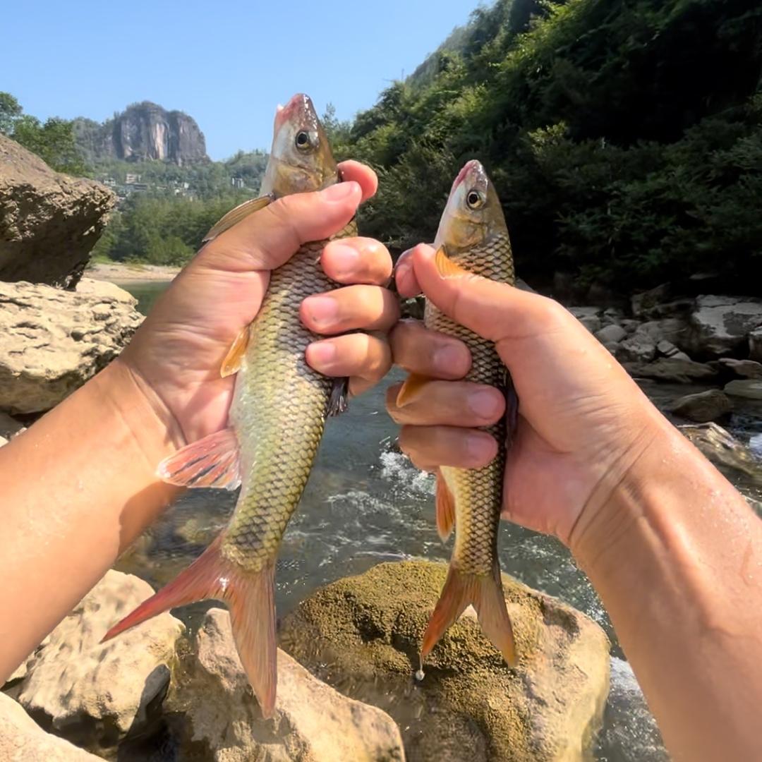 向北溪流户外