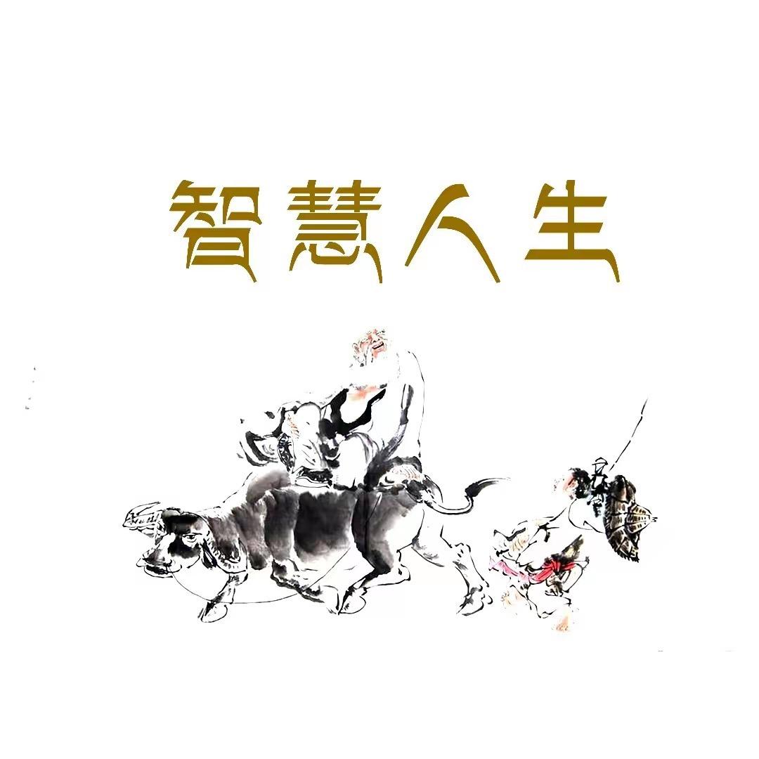 智慧人生