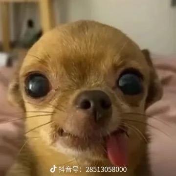 沙二好久没下雨