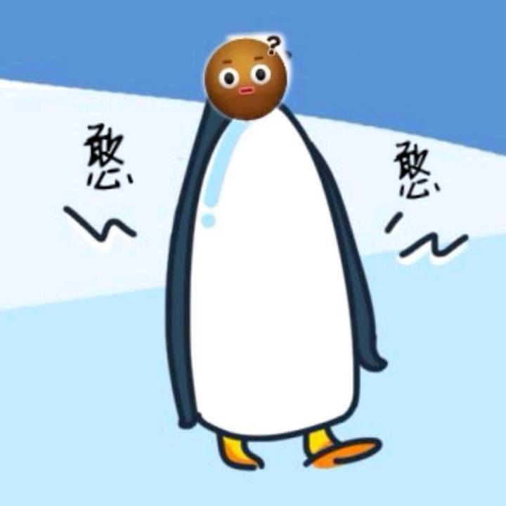 天选之子TCO