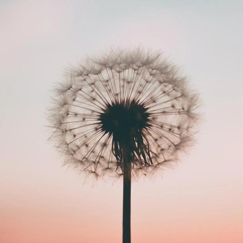 🍂ಢ᭄安ල᭄弈💞