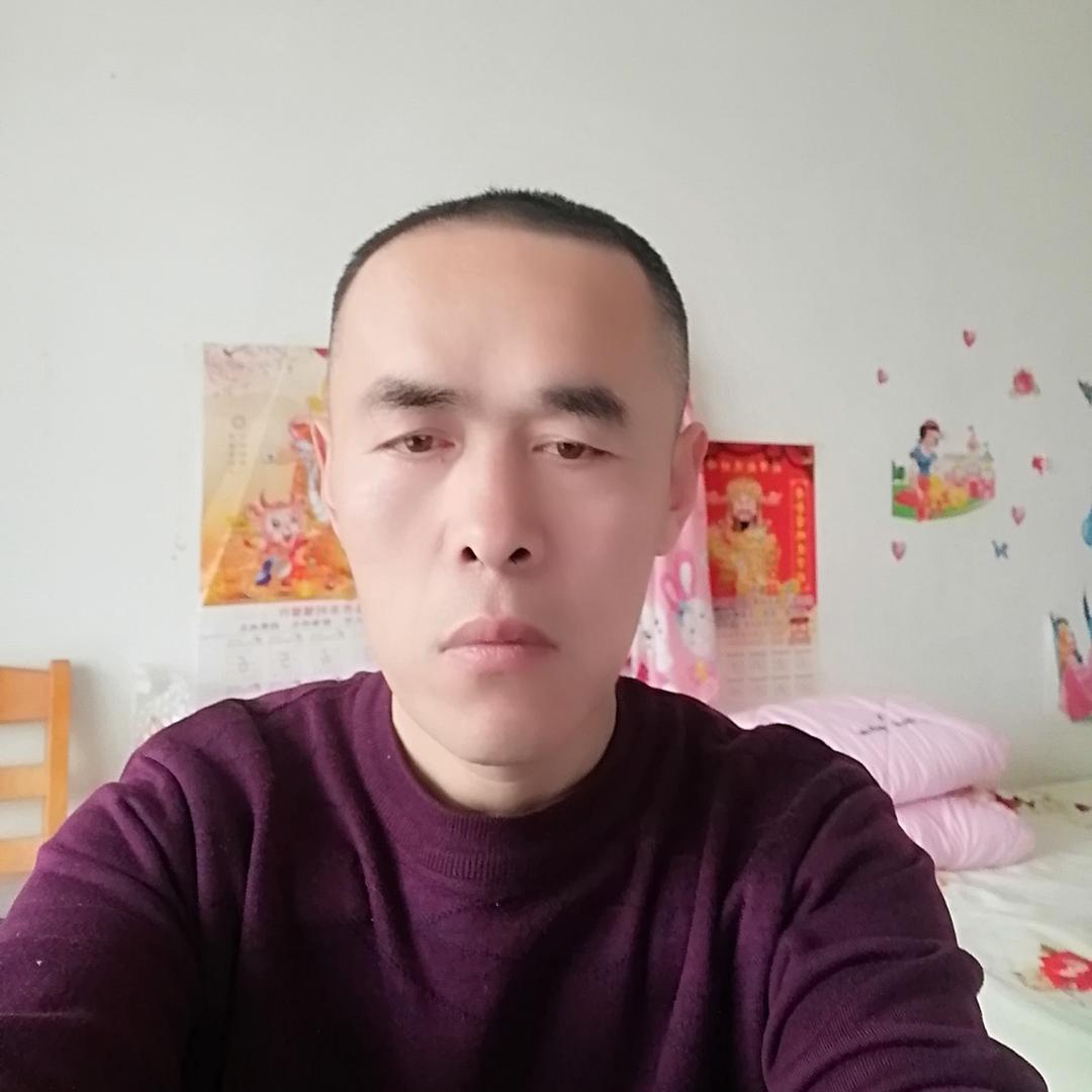 山东榆树小苗