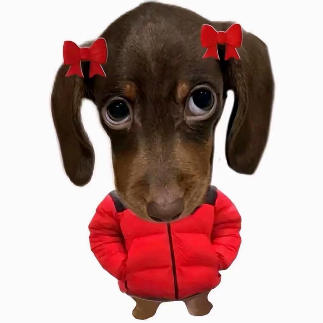 沈.
