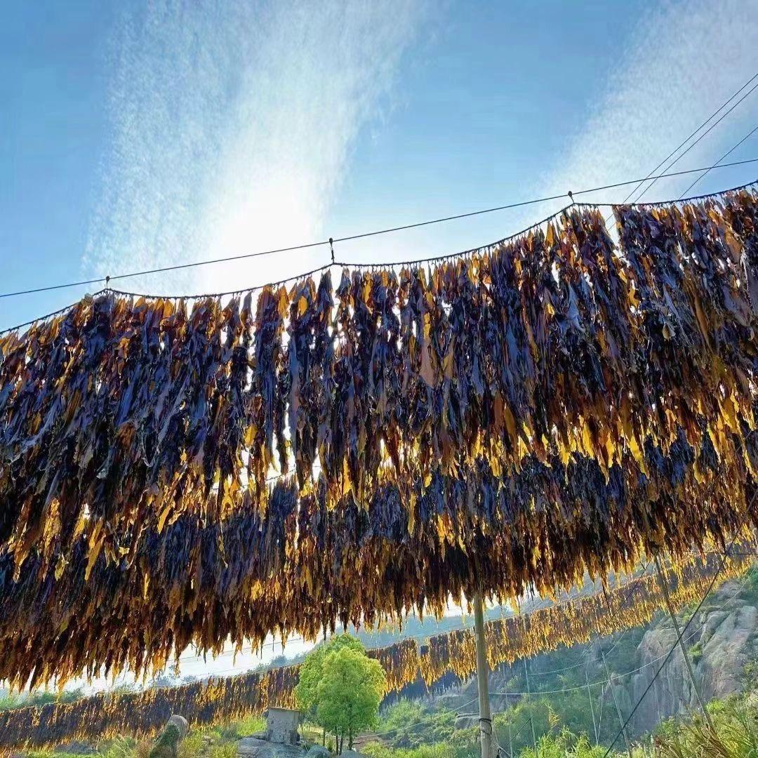 觅味农产品甄选