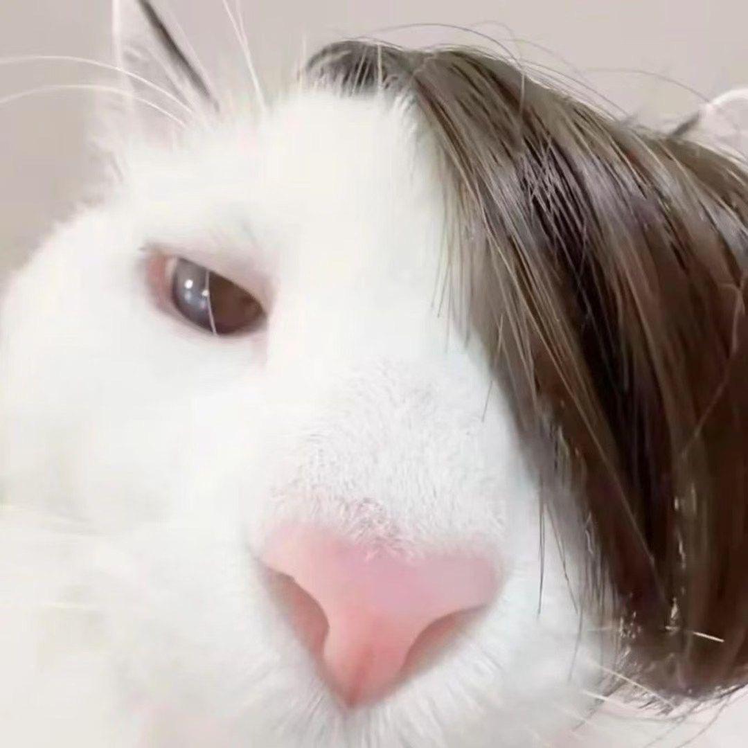 娜