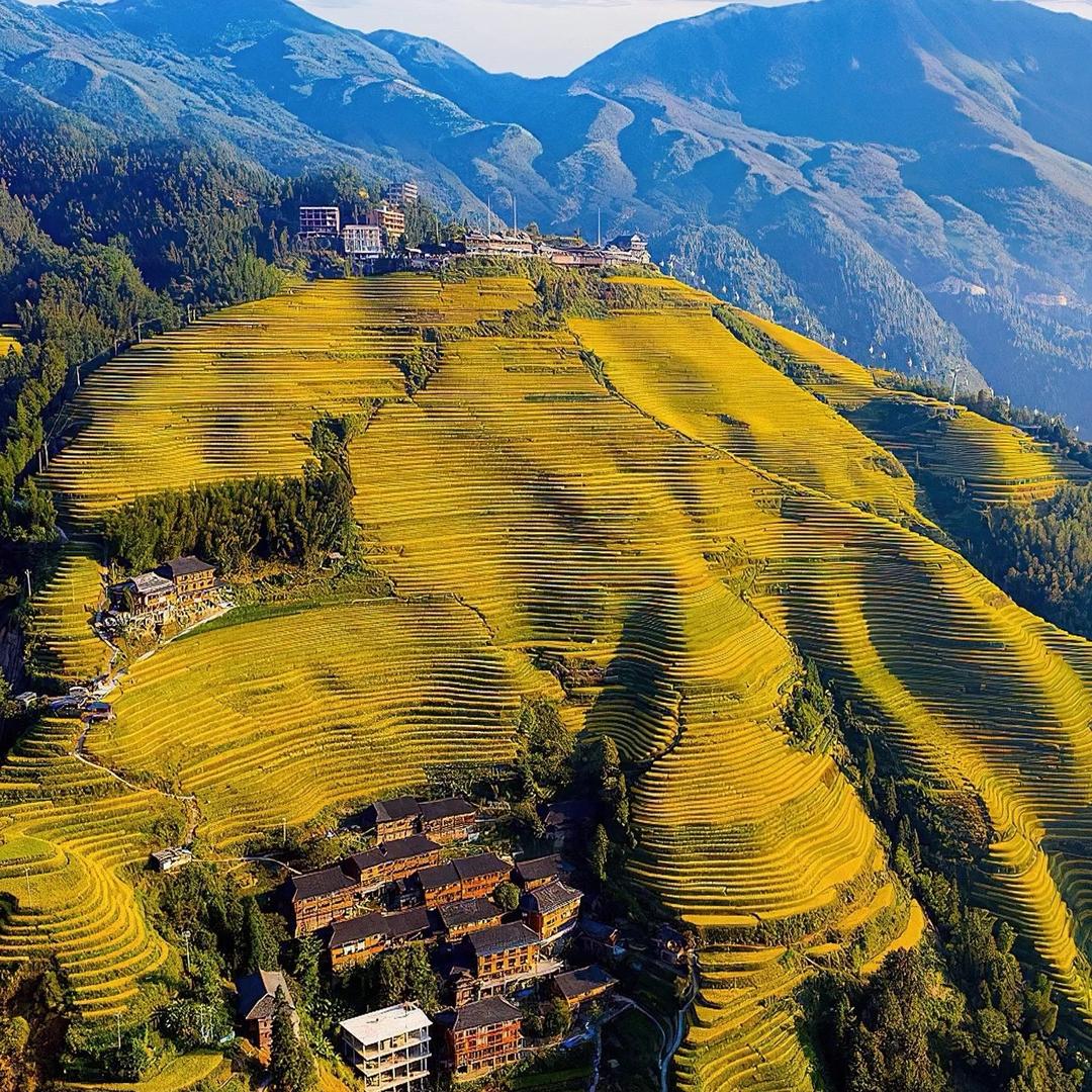 喜老板夜光风筝定制