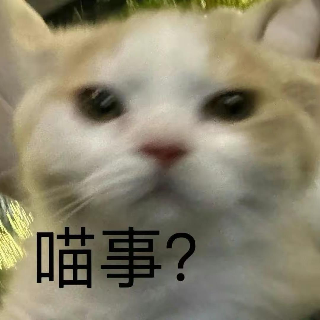 山回路转不见君