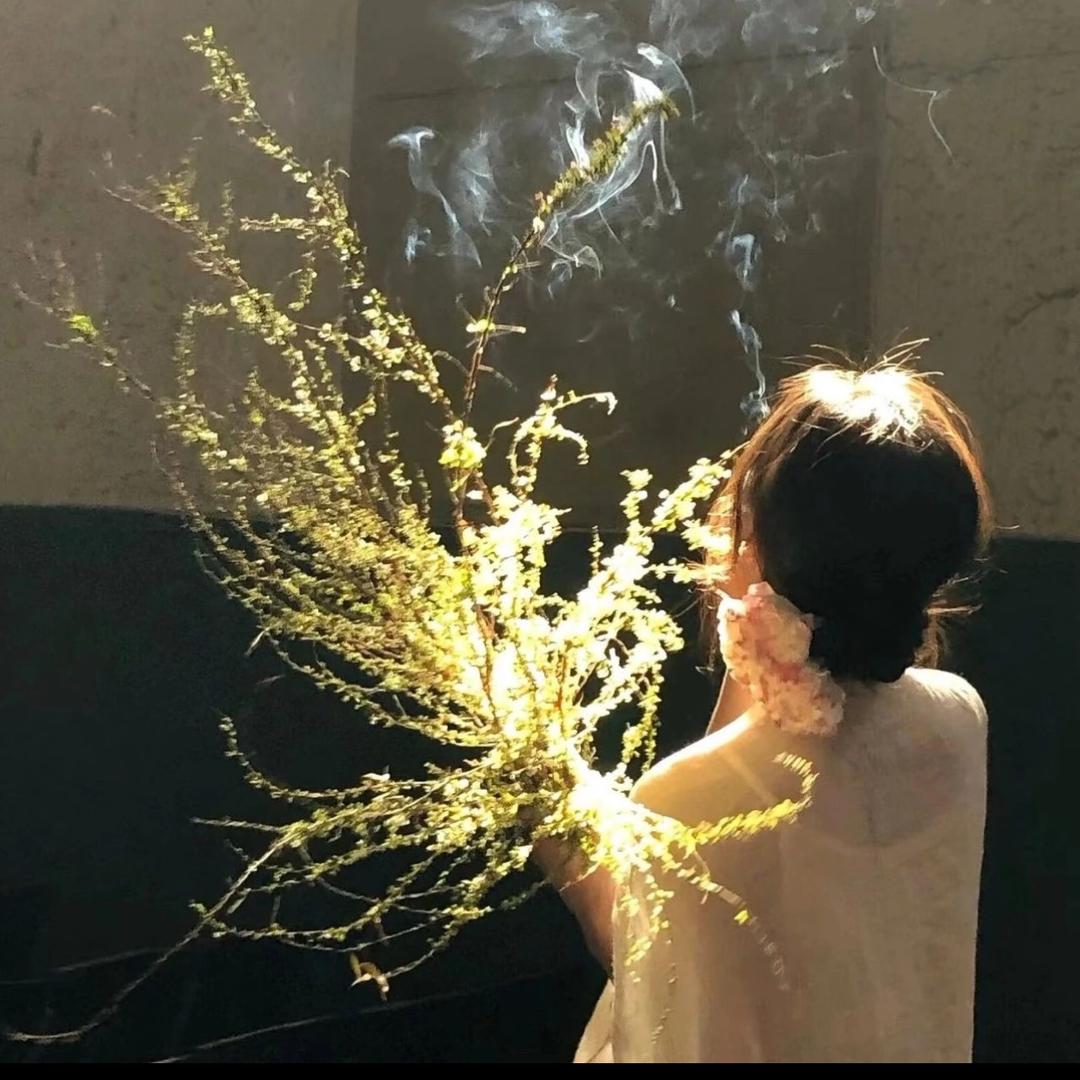 没樊脑