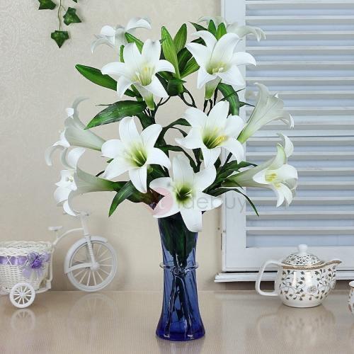 三店苏果服饰向杰