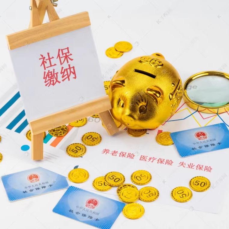 河南社保规划🌹承承（收徒）