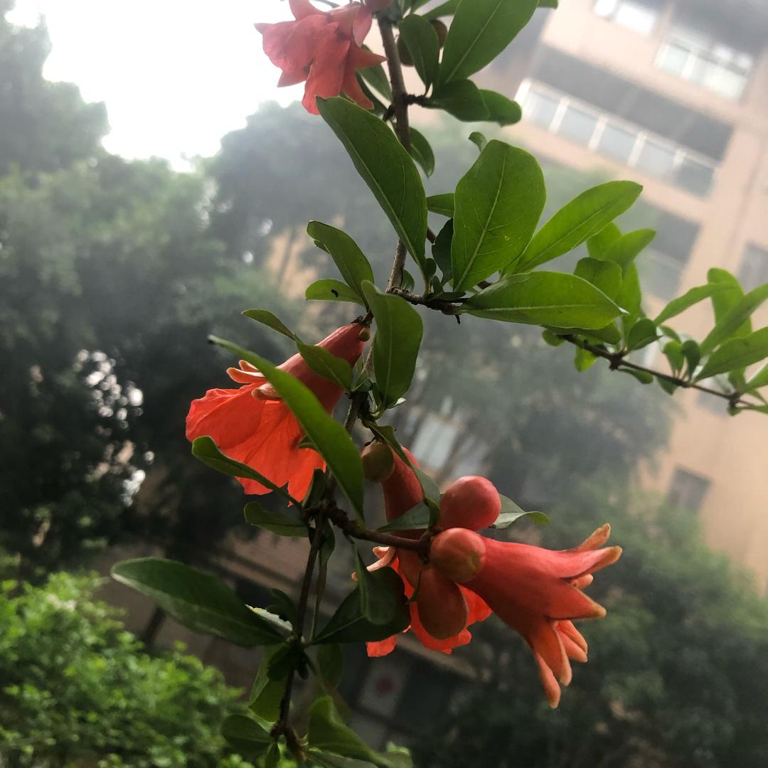 1092188474福州