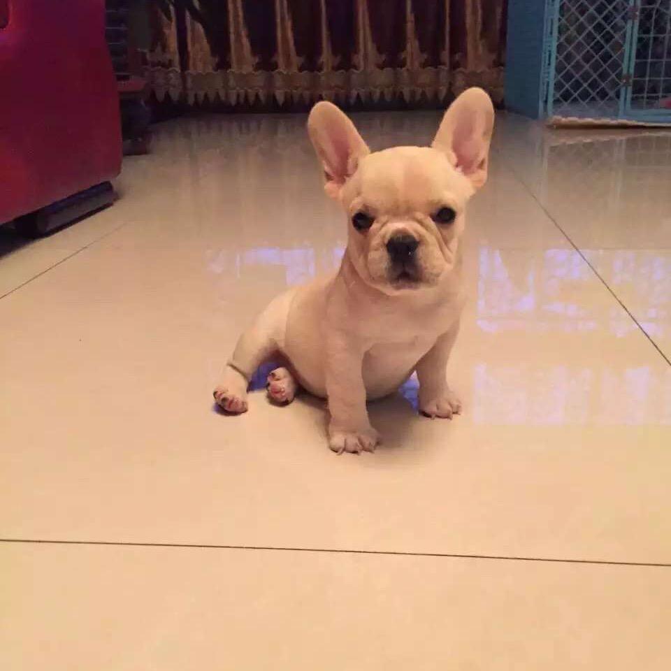 嘉彤🥰