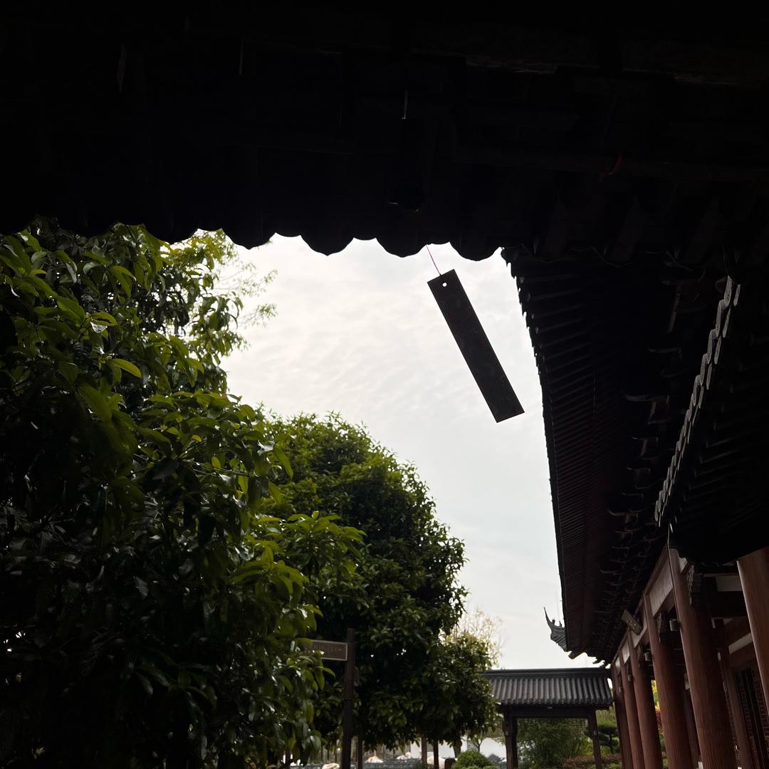好久不见.