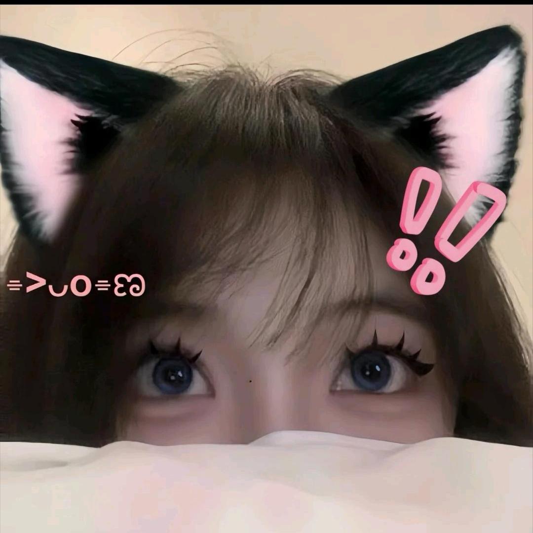 小迪.、