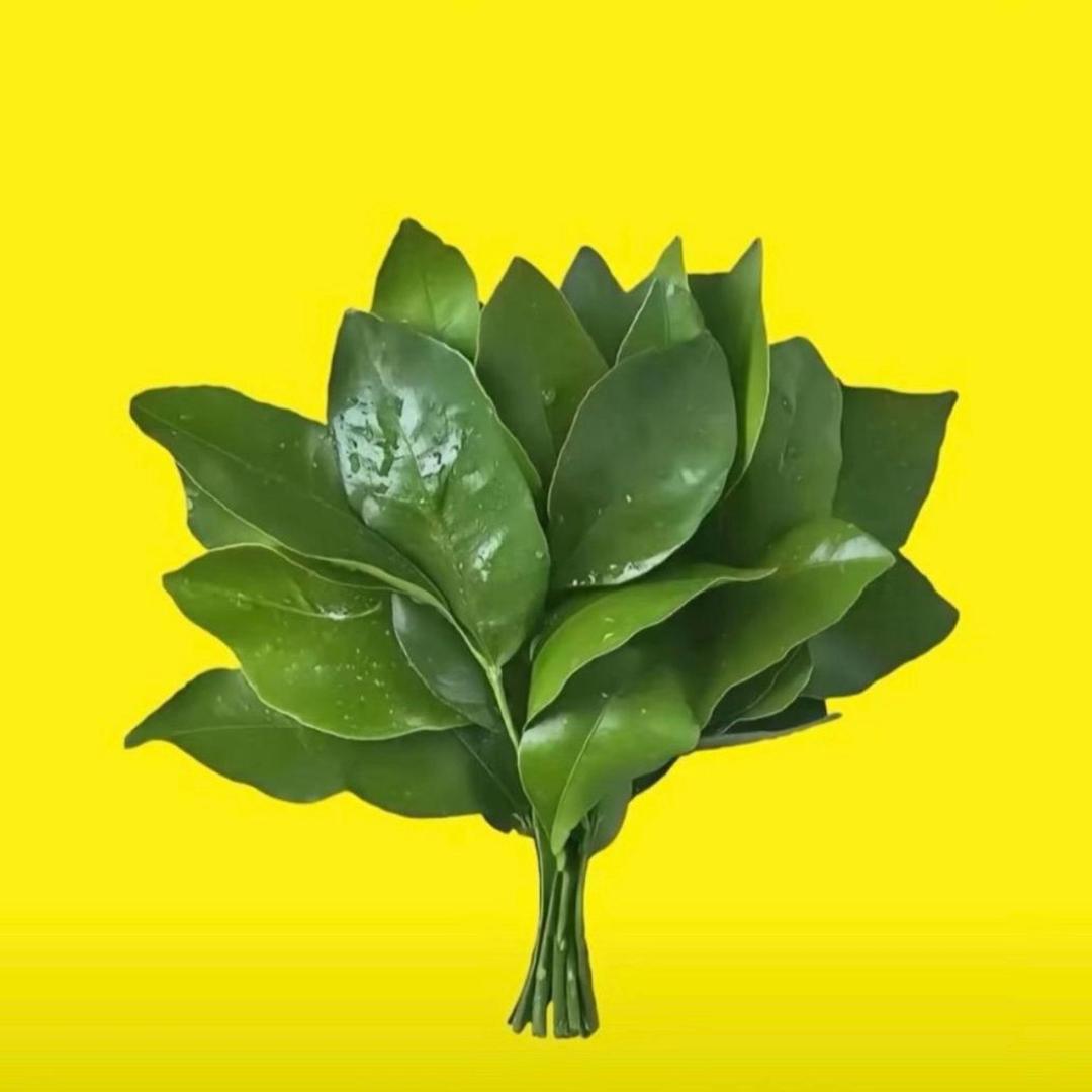 书屋好物
