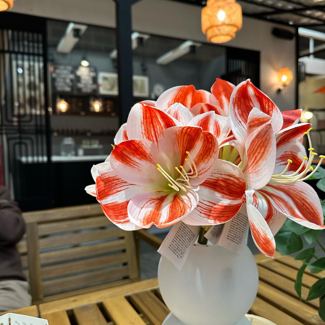 唱着玩——越剧戏园