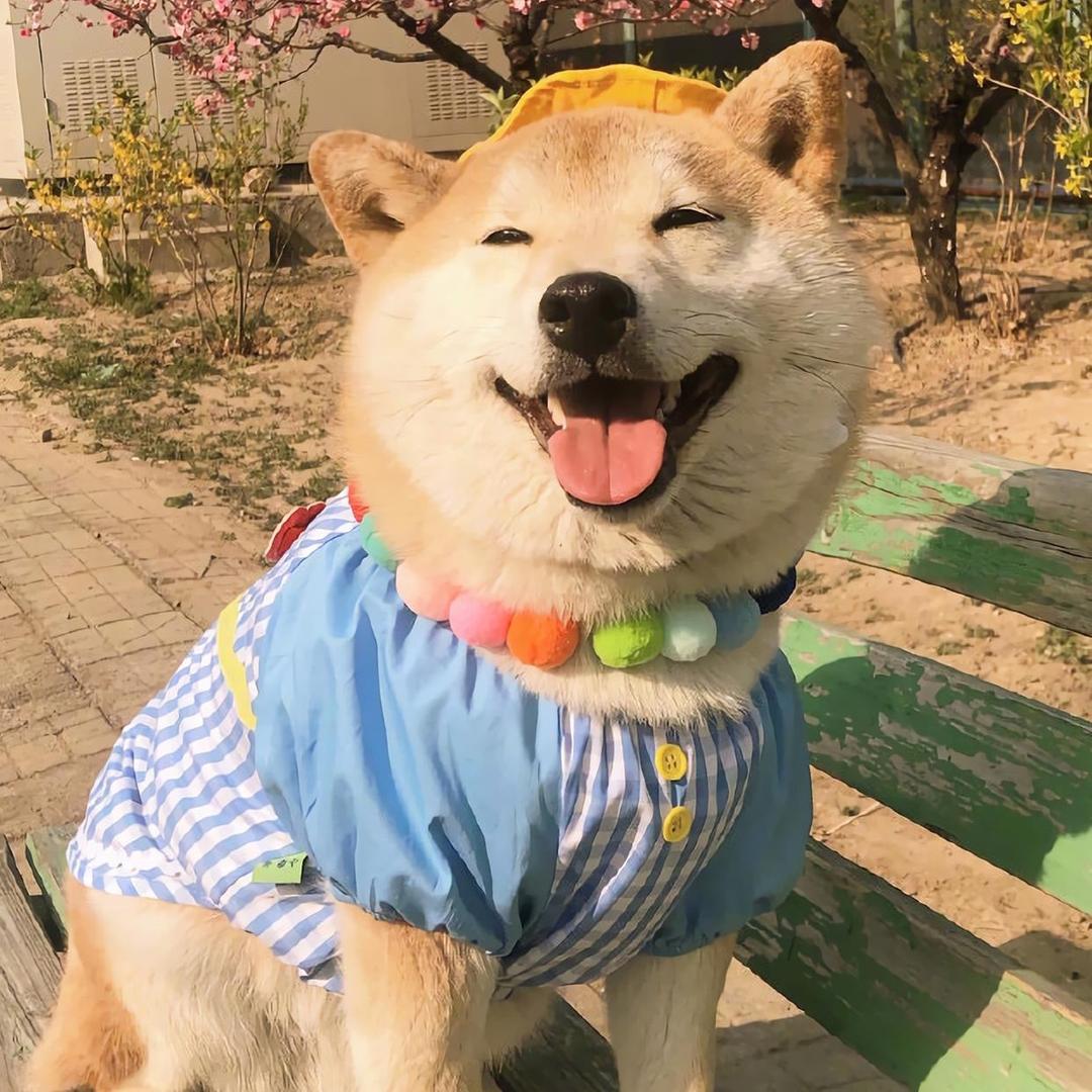 小🌞杨