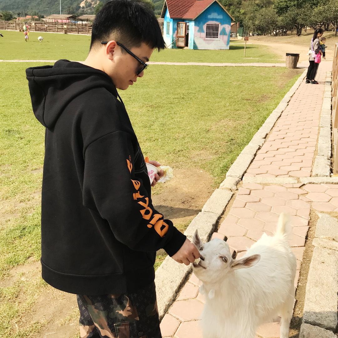 暴暴