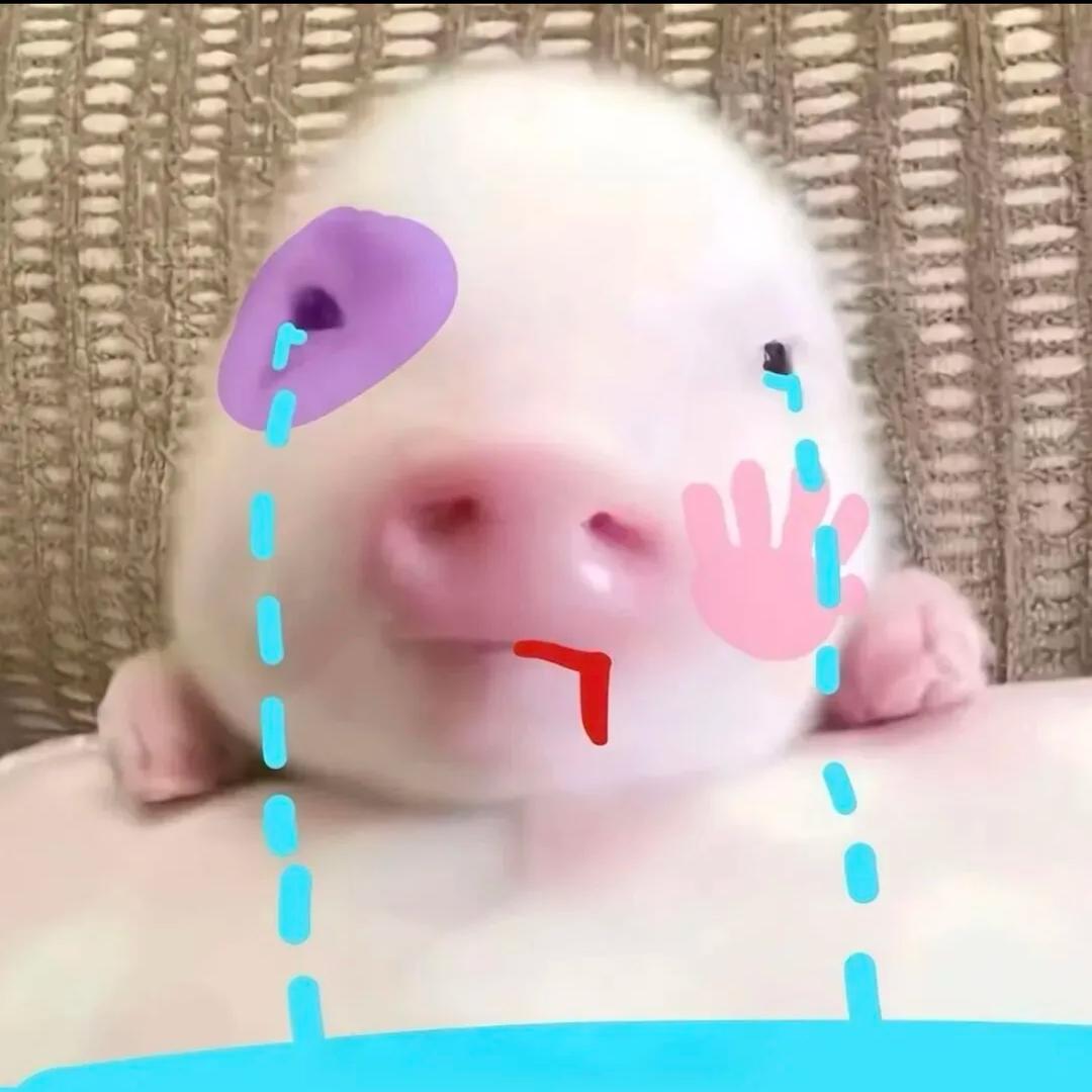 人傻嘴不甜
