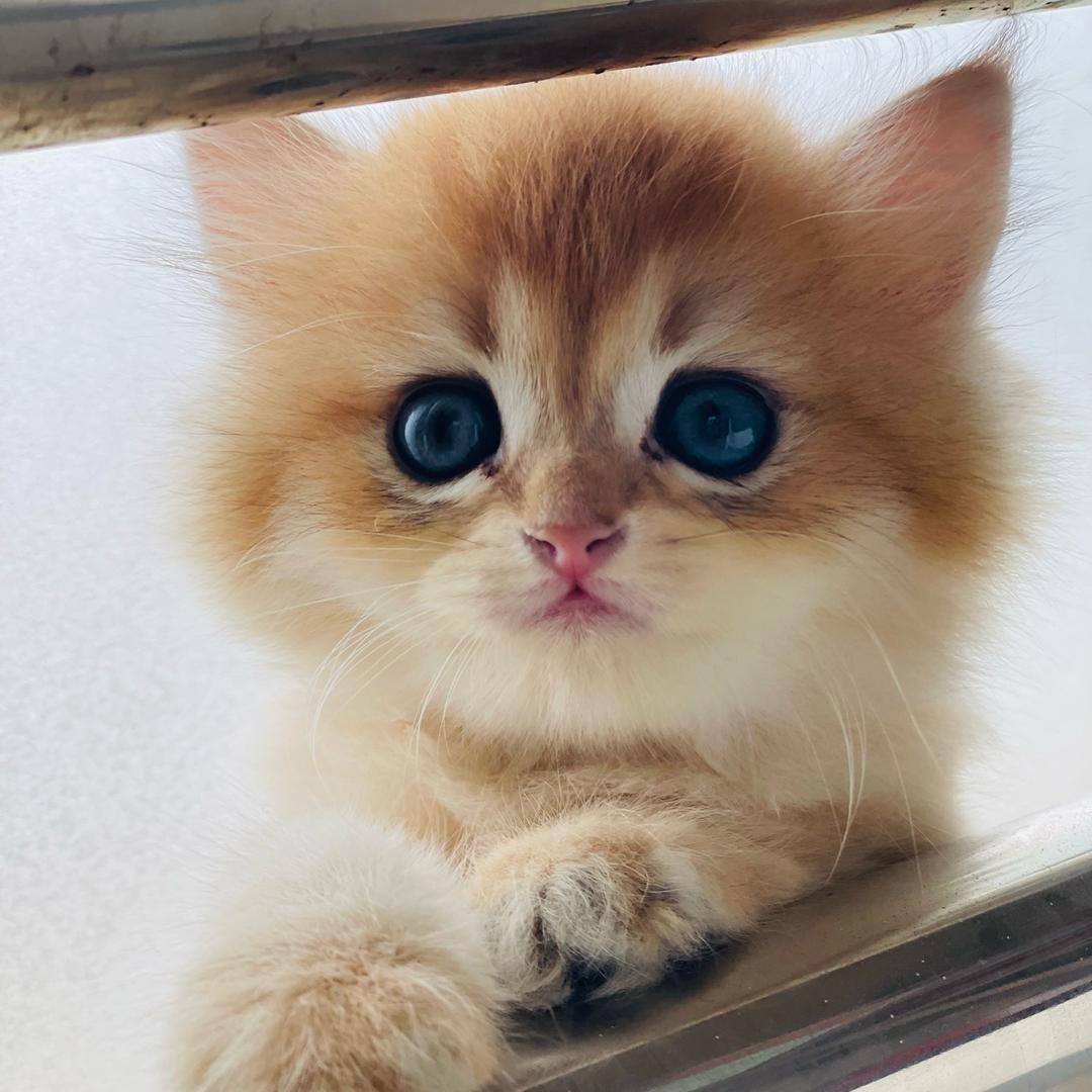 姑姑和侄子的日常