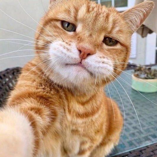 趣嘎
