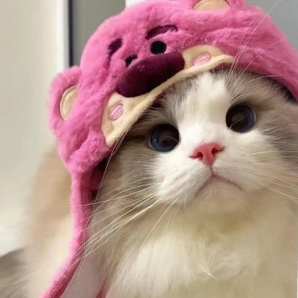 我撒娇可厉害呢🐈