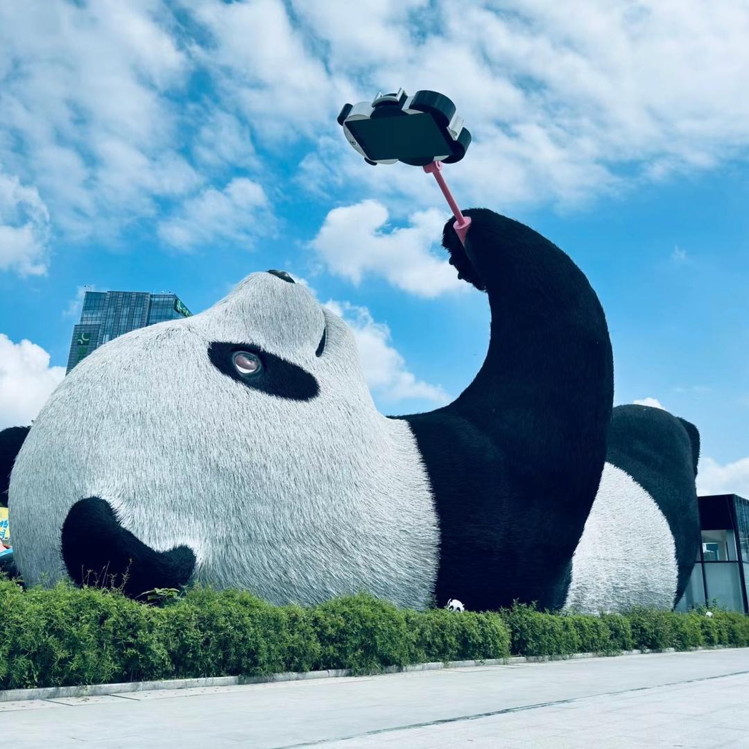 摄影—小杨