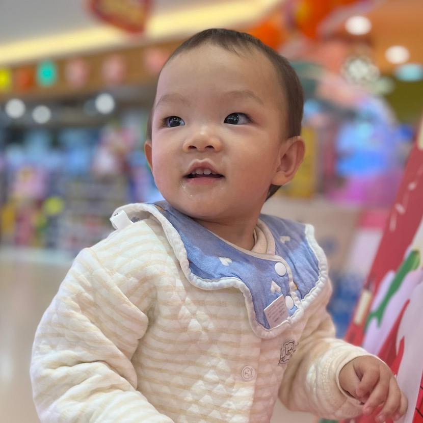 团团麻麻