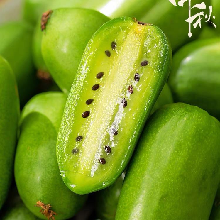 长白山软枣猕猴桃🥝