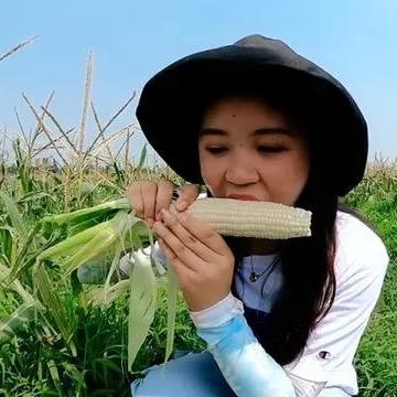 天天菜园子