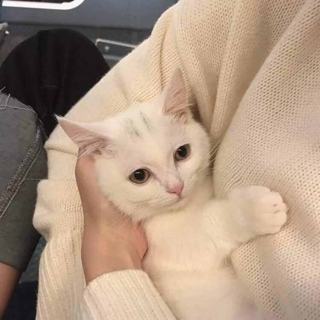 阿煜