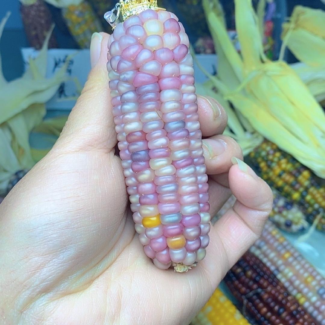 木森七彩小玉米