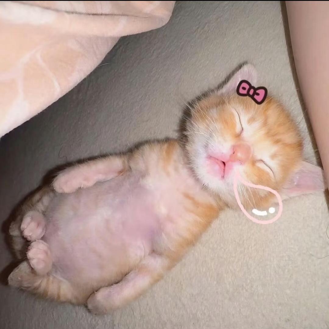 大蛋糕