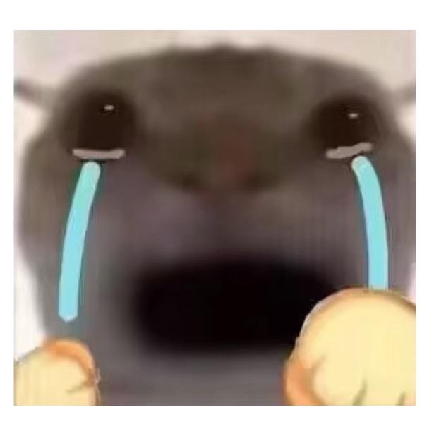 不爱吃蛋黄