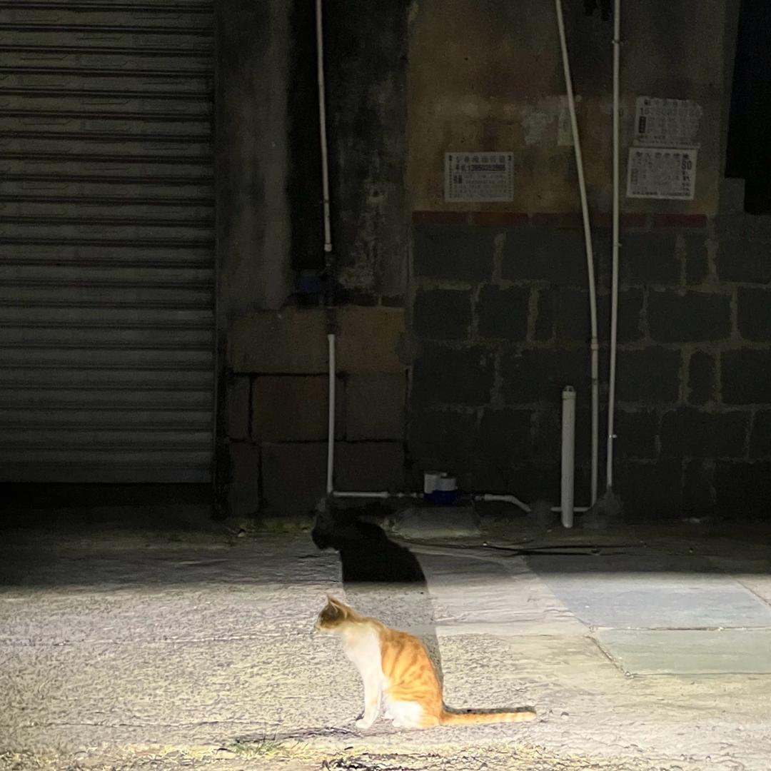 重生之我还是牛马（见过十个勤天两次版）